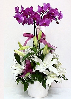 orkide ve lilyum arajman� 